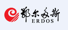 鄂尔多斯集团
