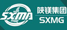 陕西省镁业集团有限公司