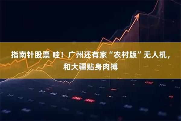 指南针股票 哇！广州还有家“农村版”无人机，和大疆贴身肉搏
