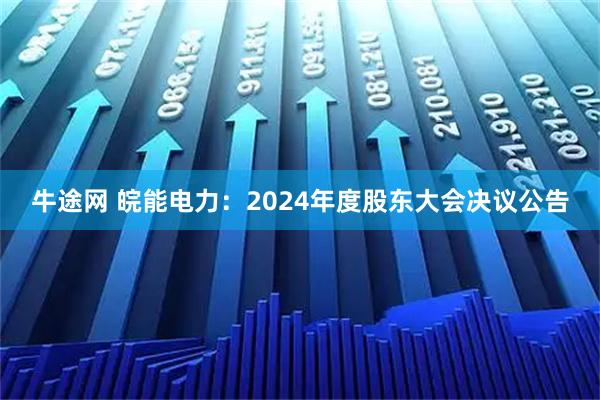 牛途网 皖能电力:2024年度股东大会决议公告